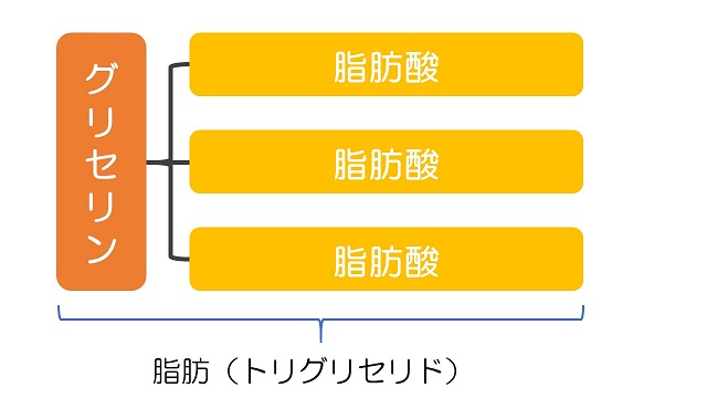 トリグリセリドの組成