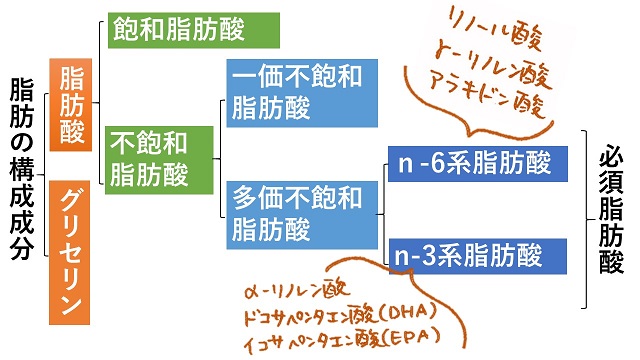 脂質とは？ダイエット中でも適正量の摂取を！｜管理栄養士執筆 イマカラ