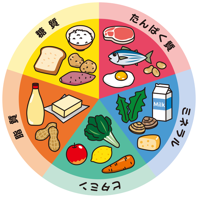 食品分類3色表